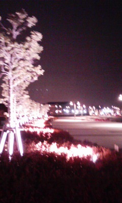 080222_202113.jpg