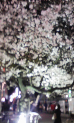 080327_192537.jpg