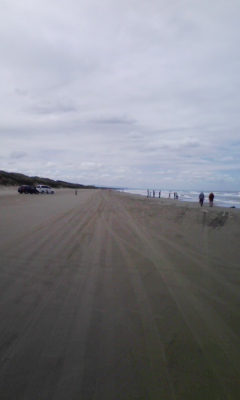 080419_103915.jpg