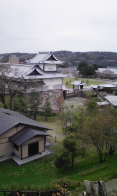 080417_105910.jpg