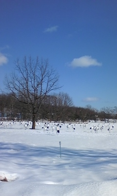 090202_121656.jpg