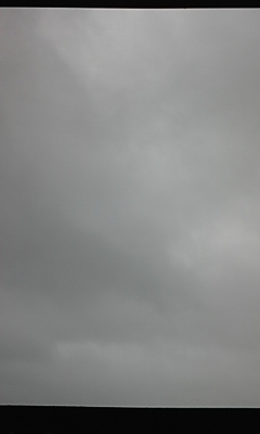 090322_145000.jpg