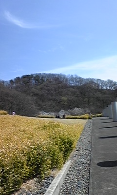 090405_130334.jpg