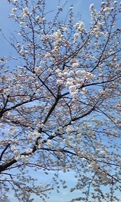 090405_124413.jpg