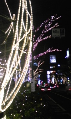 091223_201150.jpg
