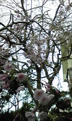 100409_154819.jpg
